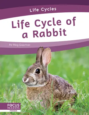 Cycle de vie d'un lapin - Life Cycle of a Rabbit