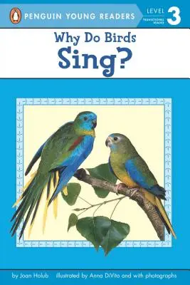 Pourquoi les oiseaux chantent-ils ? - Why Do Birds Sing?