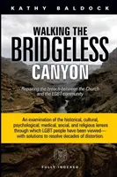 Marcher dans le canyon sans pont : Réparer la rupture entre l'Église et la communauté LGBTQ - Walking the Bridgeless Canyon: Repairing the Breach between the Church and the LGBTQ Community