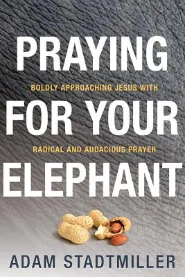 Prier pour son éléphant : S'approcher audacieusement de Jésus par une prière radicale et audacieuse - Praying for Your Elephant: Boldly Approaching Jesus with Radical and Audacious Prayer