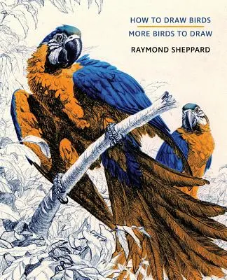 Comment dessiner des oiseaux / Plus d'oiseaux à dessiner - How to Draw Birds / More Birds to Draw