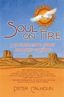 L'âme en feu : Un voyage de transformation du prêtre au chaman - Soul on Fire: A Transformational Journey from Priest to Shaman