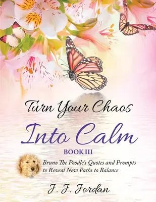 Transformez votre chaos en calme - Turn Your Chaos Into Calm