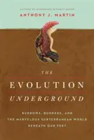 L'évolution souterraine - The Evolution Underground