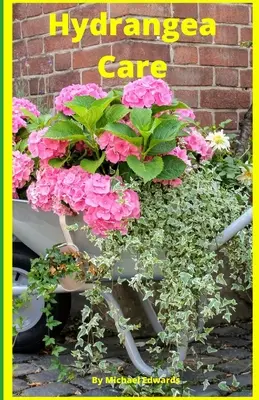 Soins des hortensias : Comment prendre soin des hortensias pour les débutants - Jardinage facile à domicile - Hydrangea Care: How To Care For Hydrangeas For Beginners - Easy Home Gardening