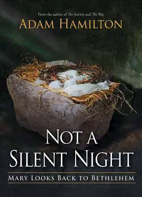 Ce n'est pas une nuit silencieuse : Marie regarde en arrière vers Bethléem - Not a Silent Night: Mary Looks Back to Bethlehem