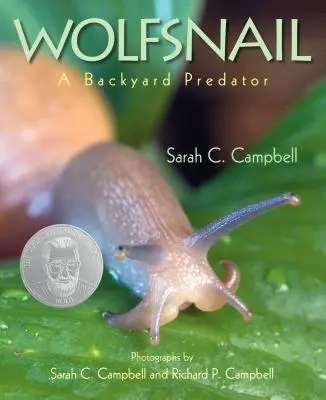 L'escargot de mer : Un prédateur de basse-cour - Wolfsnail: A Backyard Predator