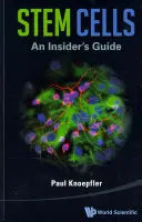 Cellules souches : Guide de l'initié - Stem Cells: An Insider's Guide