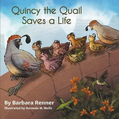 Quincy la caille sauve une vie - Quincy the Quail Saves a Life