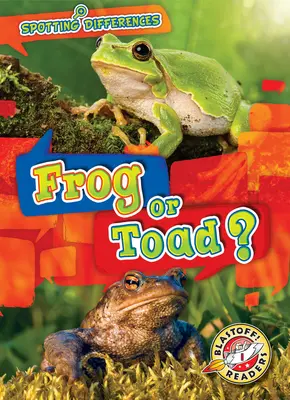 Grenouille ou crapaud ? - Frog or Toad?