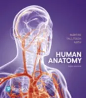 Anatomie humaine - Human Anatomy