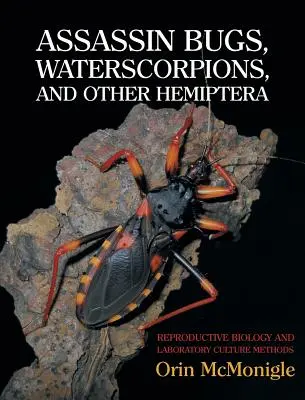 Punaises assassines, crapauds d'eau et autres hémiptères : biologie de la reproduction et méthodes de culture en laboratoire - Assassin Bugs, Waterscorpions, and Other Hemiptera: Reproductive Biology and Laboratory Culture Methods