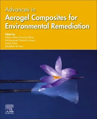Progrès dans les composites aérogels pour l'assainissement de l'environnement - Advances in Aerogel Composites for Environmental Remediation