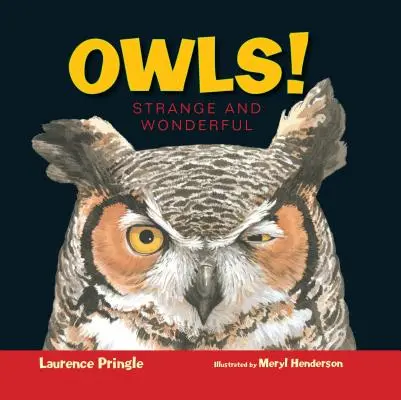 Les hiboux ! Étrange et merveilleux - Owls!: Strange and Wonderful