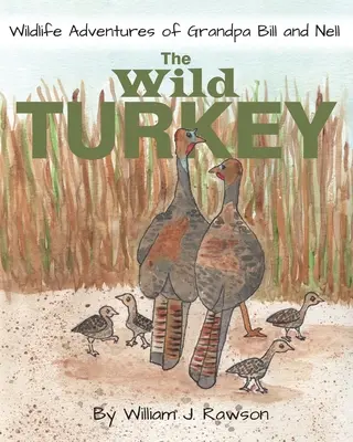 Le dindon sauvage - The Wild Turkey