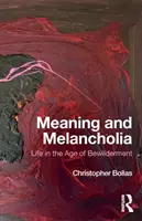 Sens et mélancolie : La vie à l'âge de l'égarement - Meaning and Melancholia: Life in the Age of Bewilderment