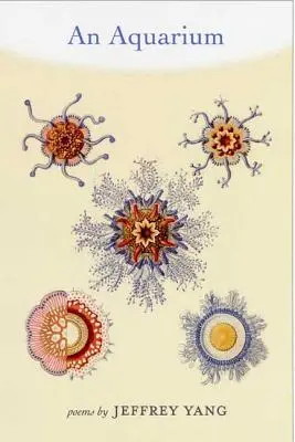 Un aquarium - An Aquarium