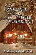 Romance au pays des merveilles de l'hiver - Romance in a Winter Wonderland