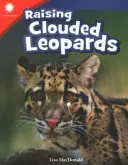 Élever des léopards nébuleux - Raising Clouded Leopards