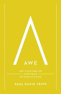 L'émerveillement : Pourquoi cela compte pour tout ce que nous pensons, disons et faisons - Awe: Why It Matters for Everything We Think, Say, and Do