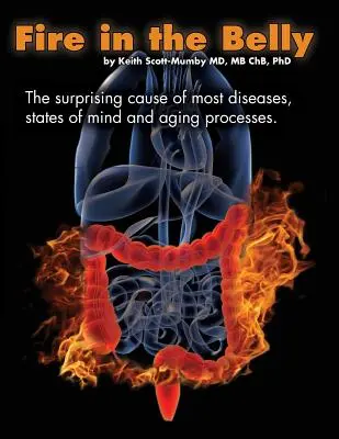 Le feu dans le ventre : La cause surprenante de la plupart des maladies, des états d'esprit et des processus de vieillissement - Fire In The Belly: The Surprising Cause of Most Diseases, States Of Mind and Aging Processes