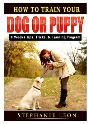 Comment dresser votre chien ou votre chiot : 4 semaines de conseils, d'astuces et de programmes de dressage - How to Train Your Dog or Puppy: 4 Weeks Tips, Tricks, & Training Program