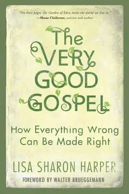 Le très bon évangile : Comment tout ce qui est mauvais peut être rectifié - The Very Good Gospel: How Everything Wrong Can Be Made Right