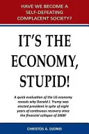 C'est l'économie, stupide - It's the Economy, Stupid