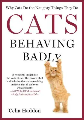 Les chats se comportent mal - Cats Behaving Badly