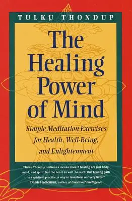 Le pouvoir guérisseur de l'esprit : exercices de méditation simples pour la santé, le bien-être et l'illumination - The Healing Power of Mind: Simple Meditation Exercises for Health, Well-Being, and Enlightenment