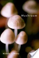 Champignon - Mushroom