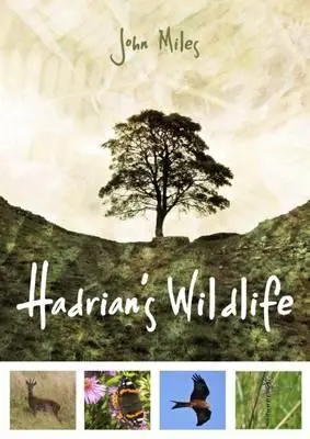 La faune d'Hadrien - Hadrian's Wildlife