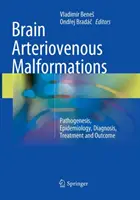 Malformations artérioveineuses cérébrales : Pathogenèse, épidémiologie, diagnostic, traitement et résultats - Brain Arteriovenous Malformations: Pathogenesis, Epidemiology, Diagnosis, Treatment and Outcome