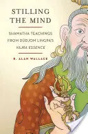 L'apaisement de l'esprit : les enseignements de Shamatha de l'essence de Vajra de Dudjom Lingpa - Stilling the Mind: Shamatha Teachings from Dudjom Lingpa's Vajra Essence