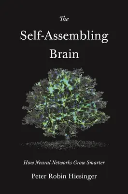 Le cerveau auto-assemblé : comment les réseaux neuronaux deviennent plus intelligents - The Self-Assembling Brain: How Neural Networks Grow Smarter