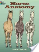 Anatomie du cheval - Horse Anatomy