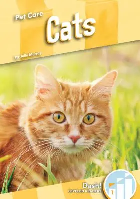 Chats - Cats