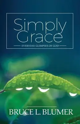 La grâce simple : Des aperçus de Dieu au quotidien - Simply Grace: Everyday Glimpses of God