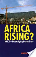 L'Afrique se lève ? Brics - Diversifier les dépendances - Africa Rising?: Brics - Diversifying Dependency