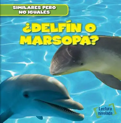 Delfin O Marsopa ? (Dauphin ou marsouin ?) - Delfin O Marsopa? (Dolphin or Porpoise?)