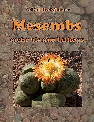Mesembs - mehr als nur Lithops (Les mésembes - plus que des lithops) - Mesembs - mehr als nur Lithops