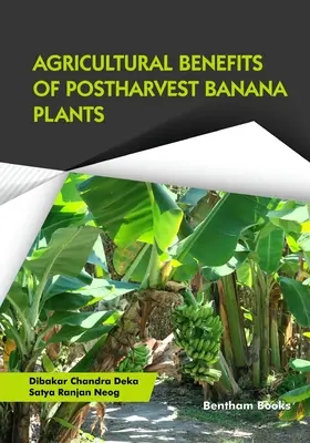 Avantages agricoles des bananiers post-récolte - Agricultural Benefits of Postharvest Banana Plants