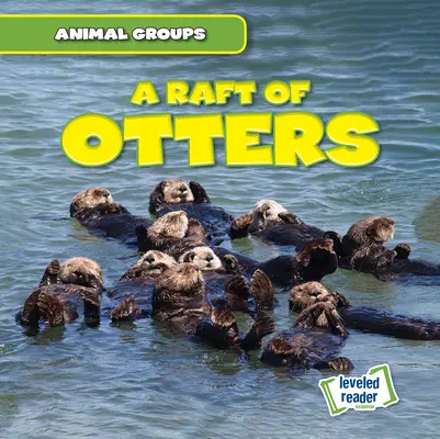 Un radeau de loutres - A Raft of Otters