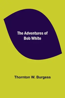 Les aventures de Bob White - The Adventures of Bob White