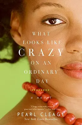 Ce qui ressemble à de la folie un jour ordinaire - What Looks Like Crazy on an Ordinary Day