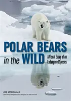 L'ours polaire dans la nature : un essai visuel sur une espèce en voie de disparition - Polar Bears in the Wild: A Visual Essay of an Endangered Species