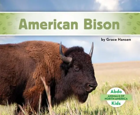 Bison d'Amérique - American Bison