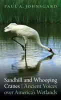 Les grues du Canada et les grues blanches : Voix anciennes sur les zones humides d'Amérique - Sandhill and Whooping Cranes: Ancient Voices Over America's Wetlands