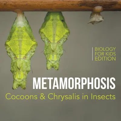 Métamorphose : Cocons et chrysalides chez les insectes - Biologie pour les enfants - Metamorphosis: Cocoons & Chrysalis in Insects - Biology for Kids Edition
