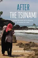 Après le tsunami : Récits de catastrophes et refonte de la vie quotidienne à Aceh - After the Tsunami: Disaster Narratives and the Remaking of Everyday Life in Aceh